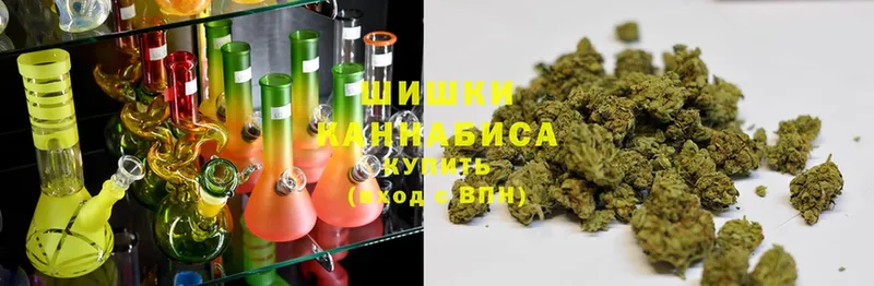 Каннабис SATIVA & INDICA  Ветлуга 